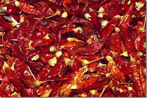 Capsicum frutescens