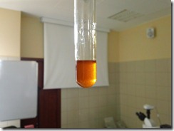 Hubl_reaction_isovaleric_acid_1067x800