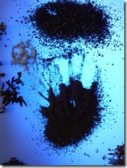 Rheum_UV