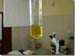 camelina_sativa_oleum_hubl_reaction_1067x800