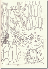 clip_image002[4]