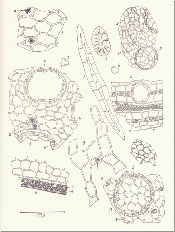 clip_image002[4]