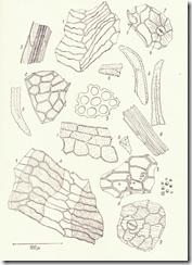 clip_image002[4]