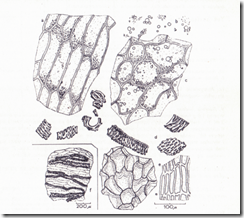 clip_image002