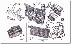 clip_image002