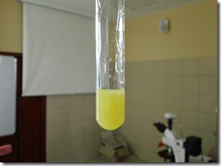 hubl_reaction_oleum_camelina_1067x800