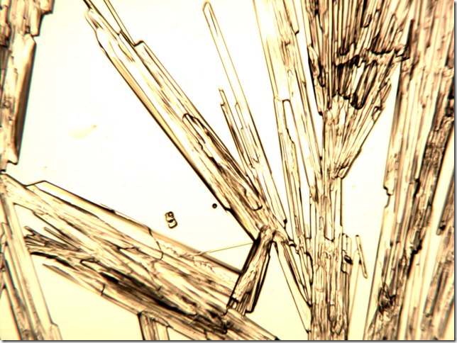 isovaleric_acid_mocznik100x_1067x800