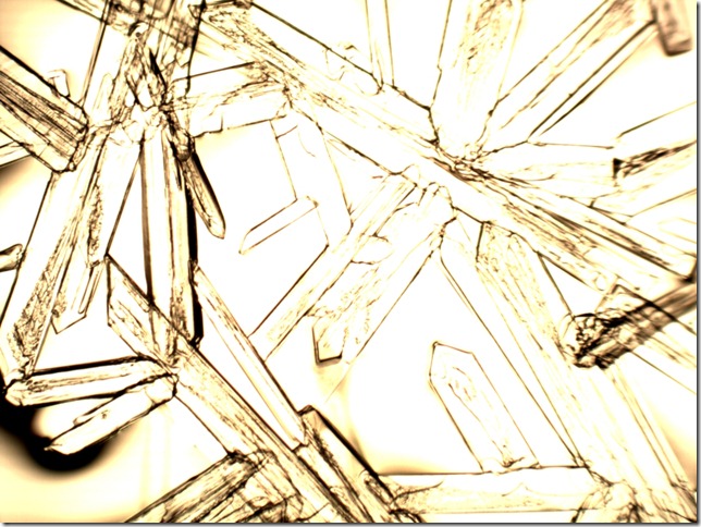 isovaleric_acid_mocznik40x1_1067x800