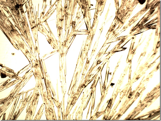 isovaleric_acid_mocznik40x_1067x800