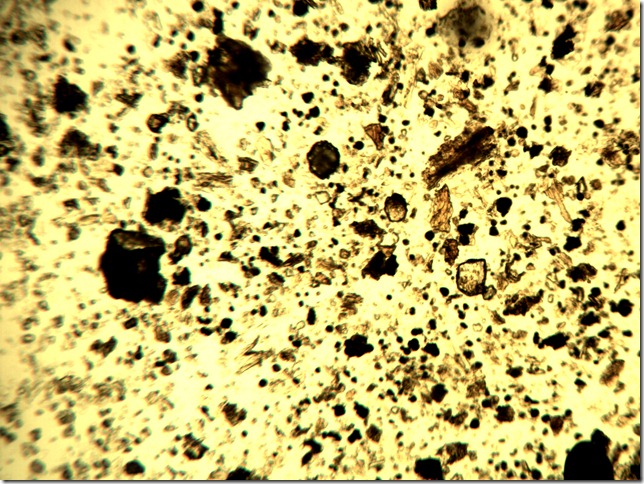 rheum5