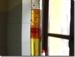 rheum_proba1