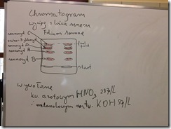 senes_chromatogram_rysunek_1067x800
