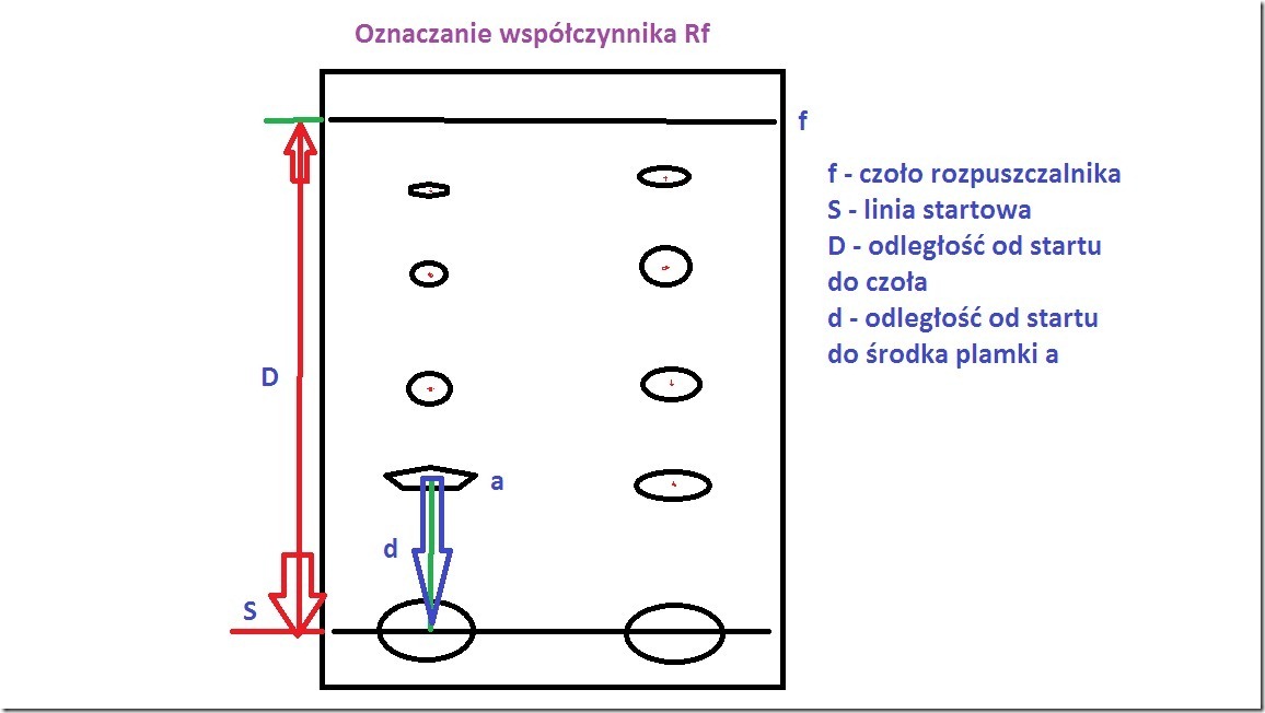 wspolczynnik_Rf